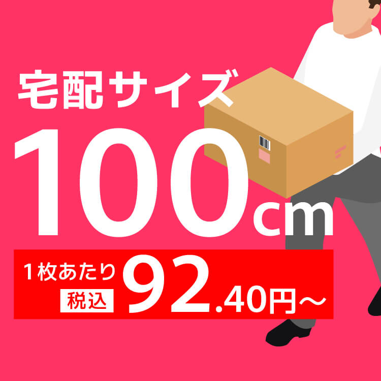 宅配100サイズの画像
