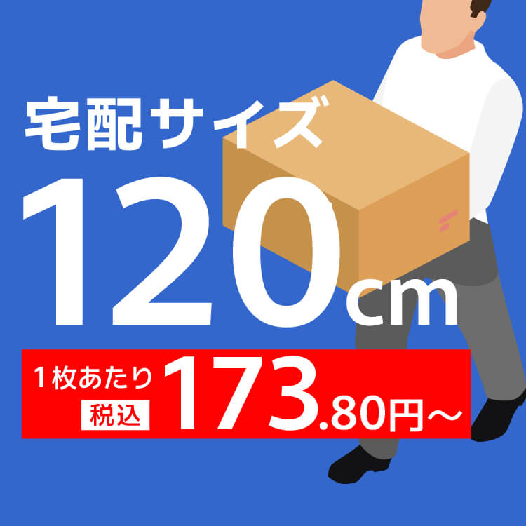 宅配120サイズの画像