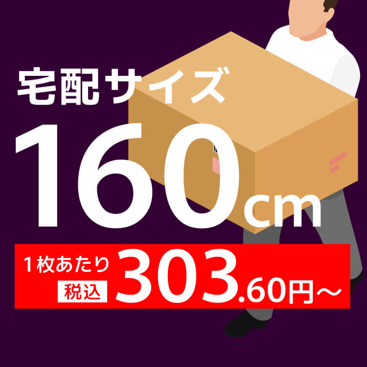 宅配160サイズの画像