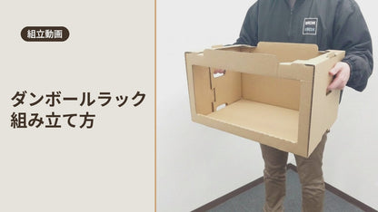 段ボール棚 組み立て式 業務用オープン収納ラック BOX-EX101 【送料無料】